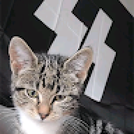 deitym