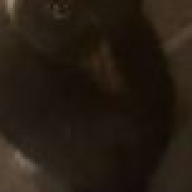 Missan