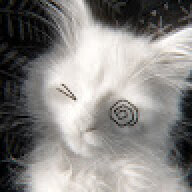 Kitp