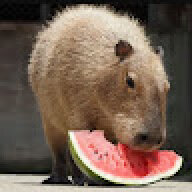 meltm