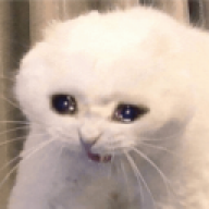 rvnlmeow