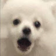 exscord