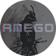 Amego3131