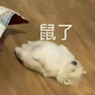XHaipi