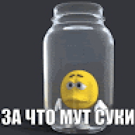 ssshipelka