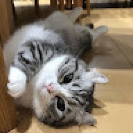 mandalspot