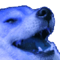 ShootHvH