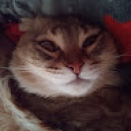 qwasgggg