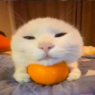 HINUKA_VAC