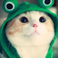 NEXT_lychi