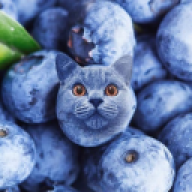 qwixxoodolf