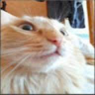 fergjkrgfkgrk