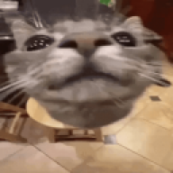 somutoja