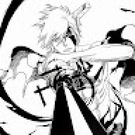 swize009