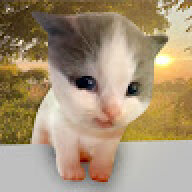 sasasda