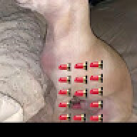 cZXdfs