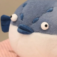 fugatop4ik