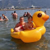 cheery_chick2