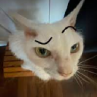 japkohvh