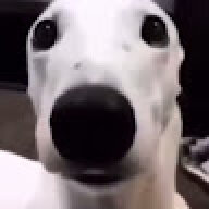 LiteX3D