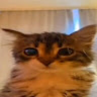 GFDGHFGHDSD