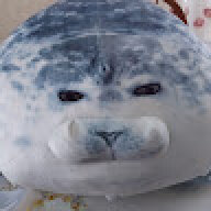 hamster_big4