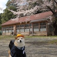 nezuna