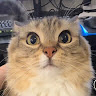 ZXCDEXZ666