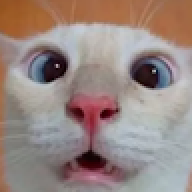 FELIPEzerocinco