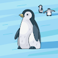 polkix6