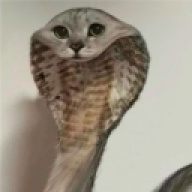 iquaeww