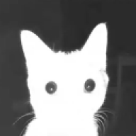 ENVI