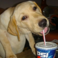 gogurt