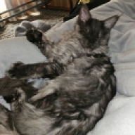 Lucifer_012345