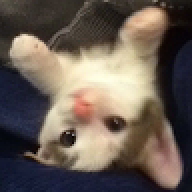 ddwqdwqdwq