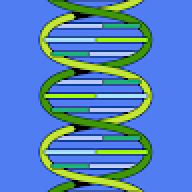 sta6h