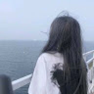 dayn1337d