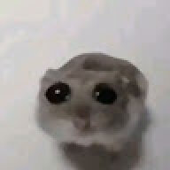 lkaiwi