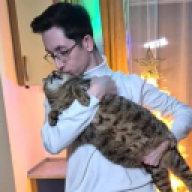 K0mornik