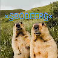 gitlet_796