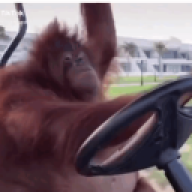 murzynkilubie
