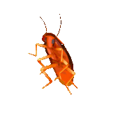 artemensyi