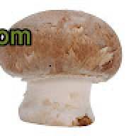 fdanlkd12345