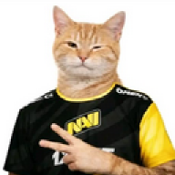 VixenPlixenNiggsen