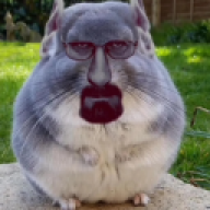 Hamster1221