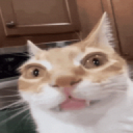 ttcod1337