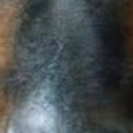 nol4r