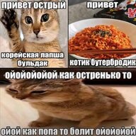 catmeow382