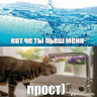 pidorasik13371