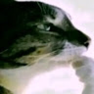 has1kio123